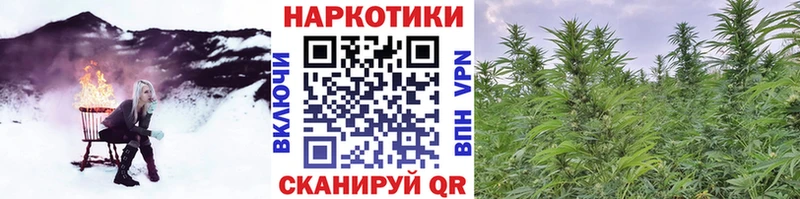 Где купить Мглин Псилоцибиновые грибы  МЕФ  Амфетамин  Гашиш  A PVP  Конопля 