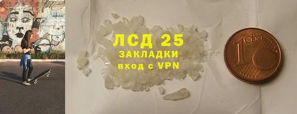 стафф Касимов