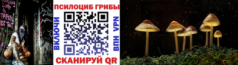 Галлюциногенные грибы Magic Shrooms  купить закладку  Мглин 
